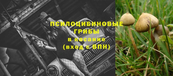 дживик Ладушкин