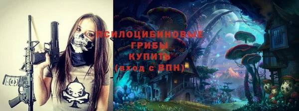 дживик Ладушкин
