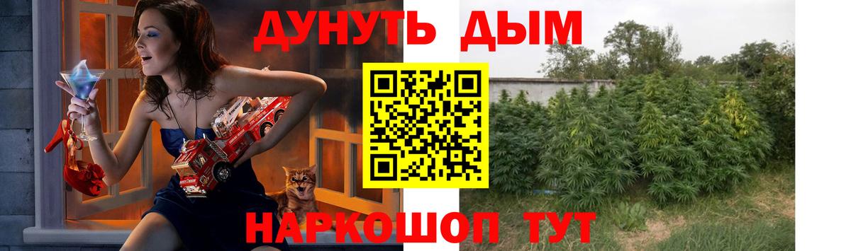 МАРИХУАНА Amnesia  Добрянка  Шишки марихуана индика  Каннабис THC 21%  Бошки Шишки конопля 